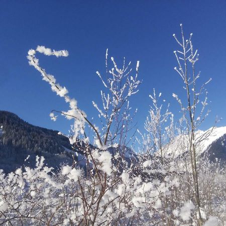 Gaestehaus Pfandl Au (Vorarlberg) ภายนอก รูปภาพ