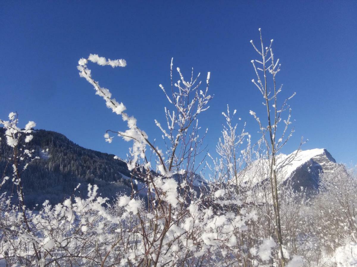 Gaestehaus Pfandl Au (Vorarlberg) ภายนอก รูปภาพ