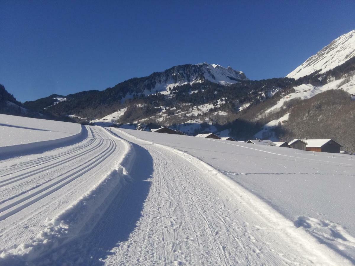 Gaestehaus Pfandl Au (Vorarlberg) ภายนอก รูปภาพ
